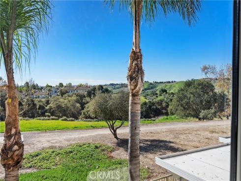 20  Wild Lilac   Lane, Rancho Santa Margarita, CA