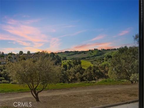 20  Wild Lilac   Lane, Rancho Santa Margarita, CA