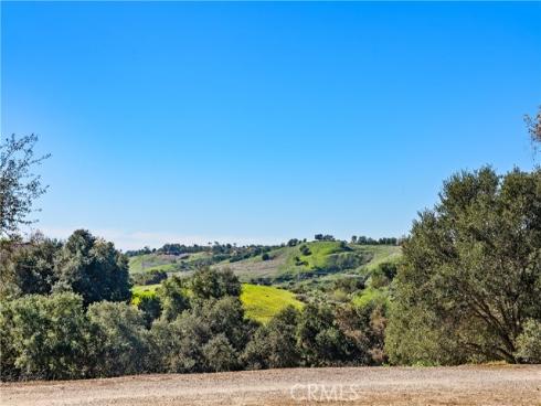 20  Wild Lilac   Lane, Rancho Santa Margarita, CA