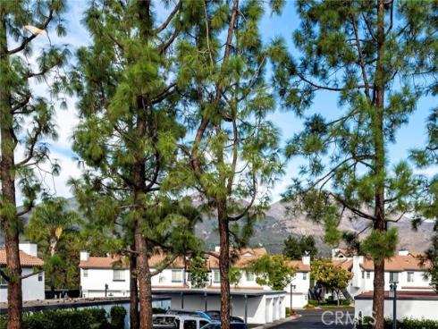 6  Dianthus  , Rancho Santa Margarita, CA