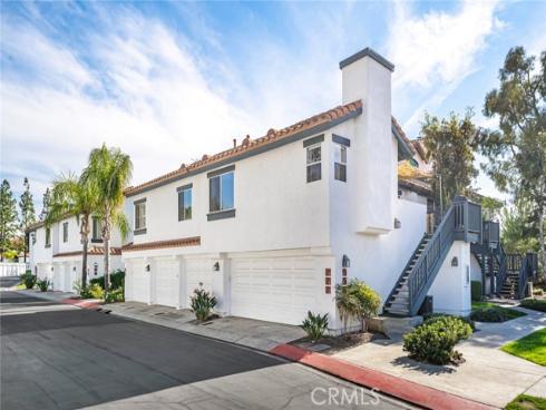 6  Dianthus  , Rancho Santa Margarita, CA