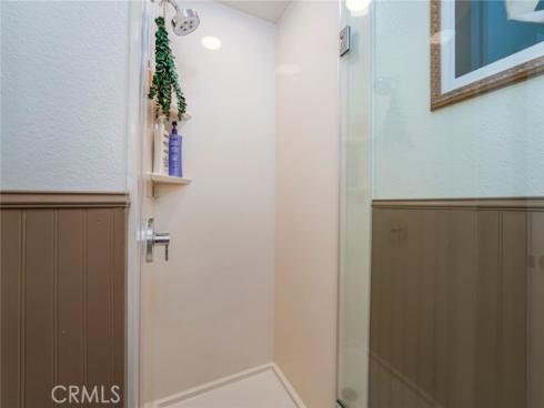 6  Dianthus  , Rancho Santa Margarita, CA