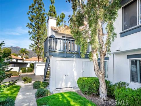 6  Dianthus  , Rancho Santa Margarita, CA