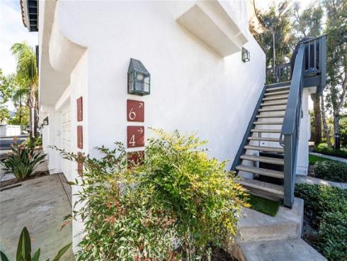 6  Dianthus  , Rancho Santa Margarita, CA