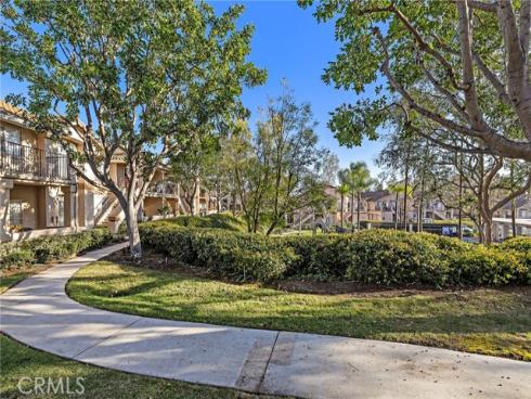 9  Violado  , Rancho Santa Margarita, CA