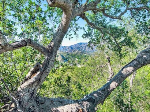 42  Abrigo  , Rancho Santa Margarita, CA