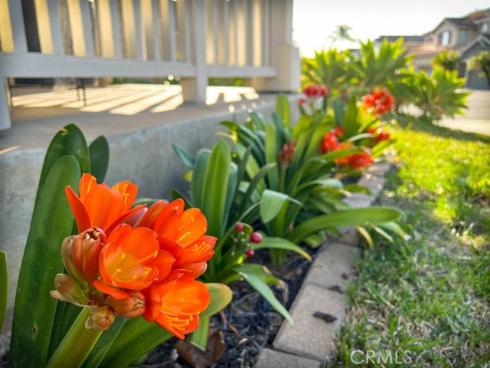 10  Acorn   Ridge, Rancho Santa Margarita, CA