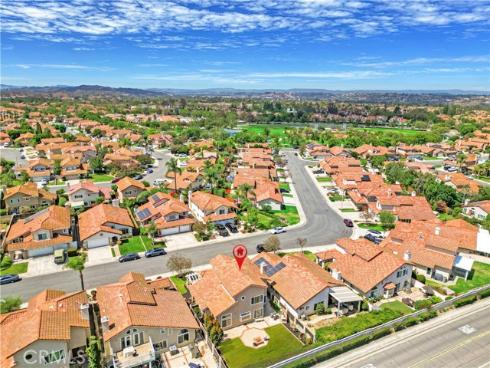 15  Sarracenia  , Rancho Santa Margarita, CA
