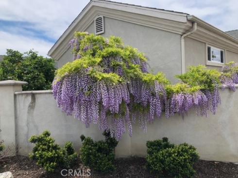 11511  Davenport   Road, Rossmoor, CA