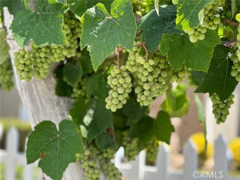 11972  Weatherby   Road, Rossmoor, CA