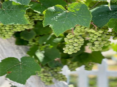 11972  Weatherby   Road, Rossmoor, CA