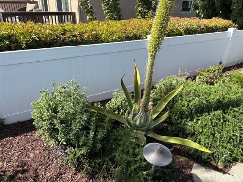 303 Avenida Salvador , San Clemente, CA