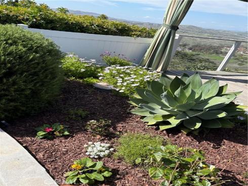 303 Avenida Salvador , San Clemente, CA