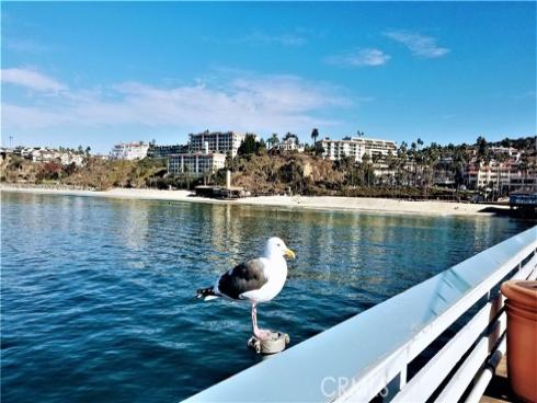 1803  La Cima  , San Clemente, CA