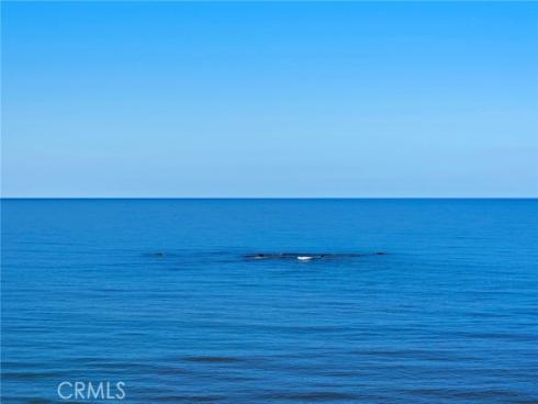 1001  Buena Vista  2 , San Clemente, CA