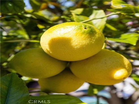 318 Avenida Costanso , San Clemente, CA