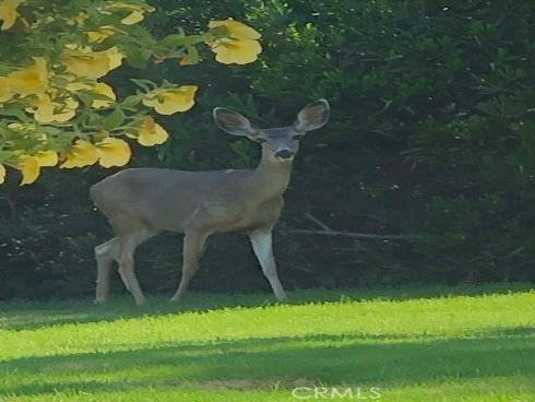 405 Avenida Salvador , San Clemente, CA