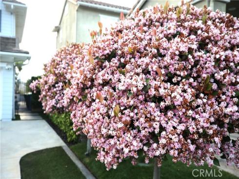 4505  Cresta Babia  , San Clemente, CA