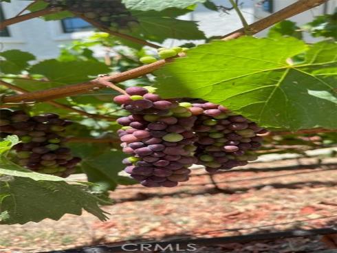 3202  Portico Del Norte  , San Clemente, CA