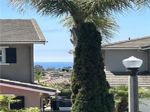 1405  Manera Ventosa  , San Clemente, CA