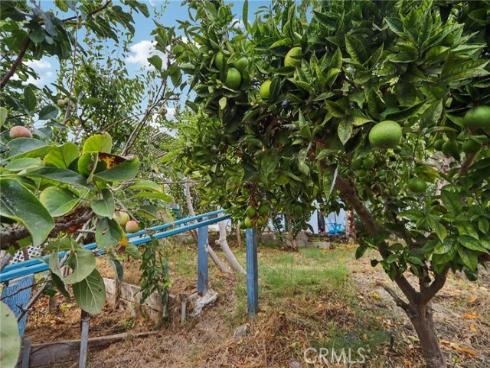 229 W Canada  , San Clemente, CA