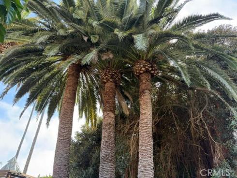 102  Trafalgar  , San Clemente, CA