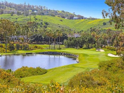 59  Camino Lienzo  , San Clemente, CA