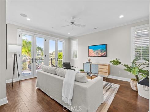 452  Camino Flora   Vista, San Clemente, CA