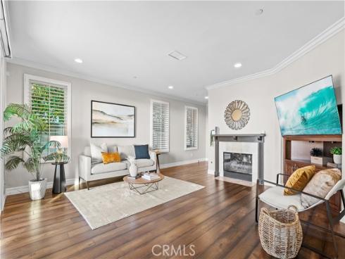 452  Camino Flora   Vista, San Clemente, CA