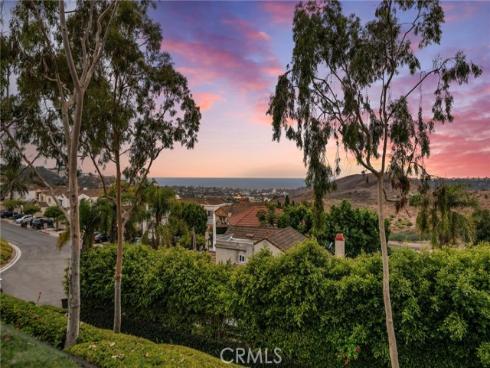 640  Via Umbroso  , San Clemente, CA