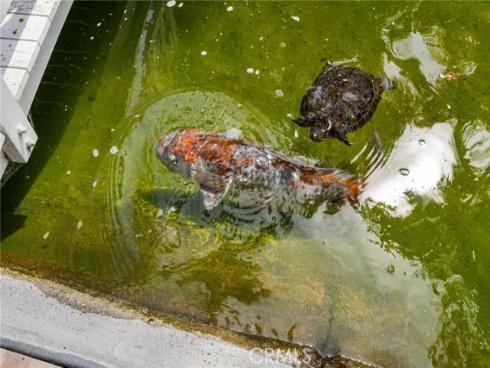 3207  Sangre De Toro  , San Clemente, CA