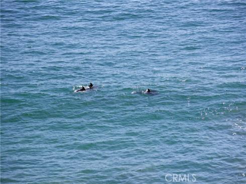 420 Monterey R17 Lane, San Clemente, CA