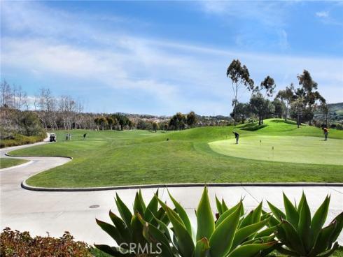 2  Paseo Del Rey  , San Clemente, CA