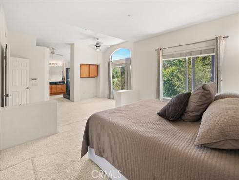 3007  Vina Vial  , San Clemente, CA
