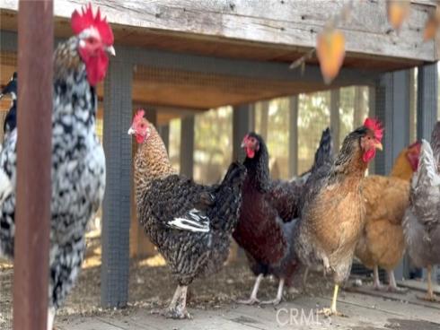 27151 Mission Hills Drive, San Juan Capistrano, CA