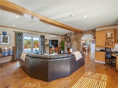 29546  Spotted Bull   Lane, San Juan Capistrano, CA