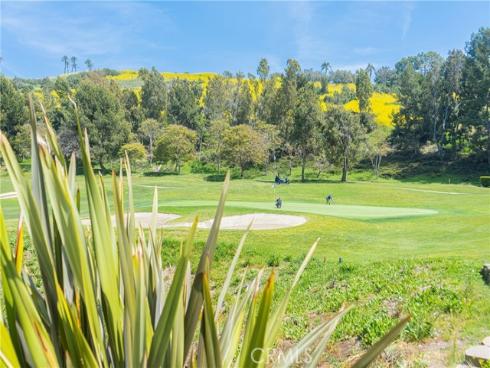 13 Plaza Baja del Sol , San Juan Capistrano, CA