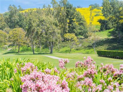 13 Plaza Baja del Sol , San Juan Capistrano, CA