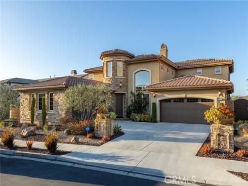 29311 Paseo Palmar , San Juan Capistrano, CA