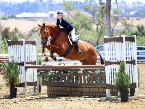 27345 Via Capri , San Juan Capistrano, CA