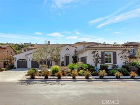 29310 Paseo Palmar , San Juan Capistrano, CA