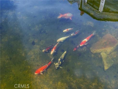 10 Strawberry Lane, San Juan Capistrano, CA