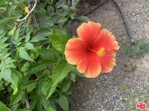 31523 Aguacate Road, San Juan Capistrano, CA