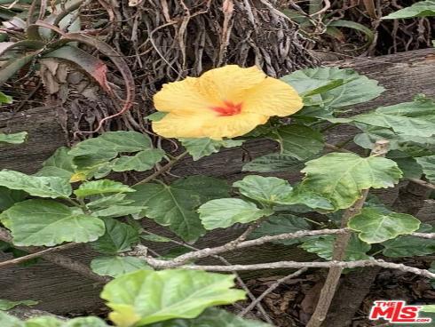 31523 Aguacate Road, San Juan Capistrano, CA