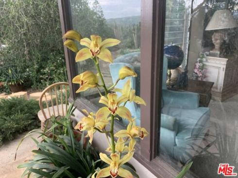 31523 Aguacate Road, San Juan Capistrano, CA