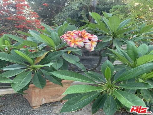 31523 Aguacate Road, San Juan Capistrano, CA