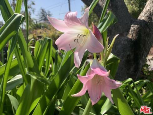 31523 Aguacate Road, San Juan Capistrano, CA