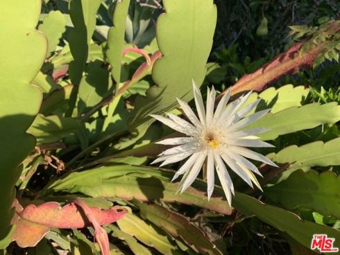 31523 Aguacate Road, San Juan Capistrano, CA