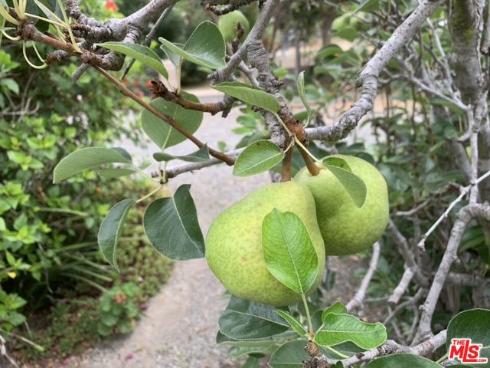 31523 Aguacate Road, San Juan Capistrano, CA