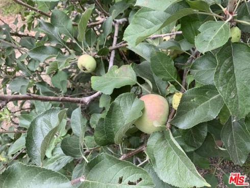 31523 Aguacate Road, San Juan Capistrano, CA